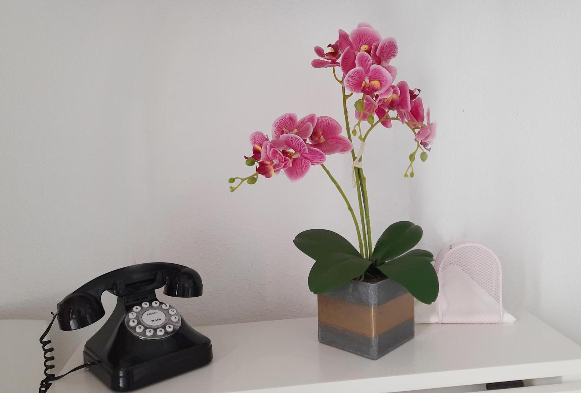 Lovely Center Apartments - Sunny Balcony Alfalfa Sevilla Buitenkant foto